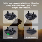 Collier de dressage rechargeable pour chiens, portée de la télécommande de 800 m et conception étanche