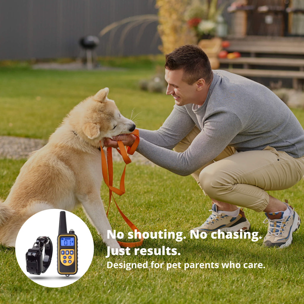 Collier de dressage rechargeable pour chiens, portée de la télécommande de 800 m et conception étanche
