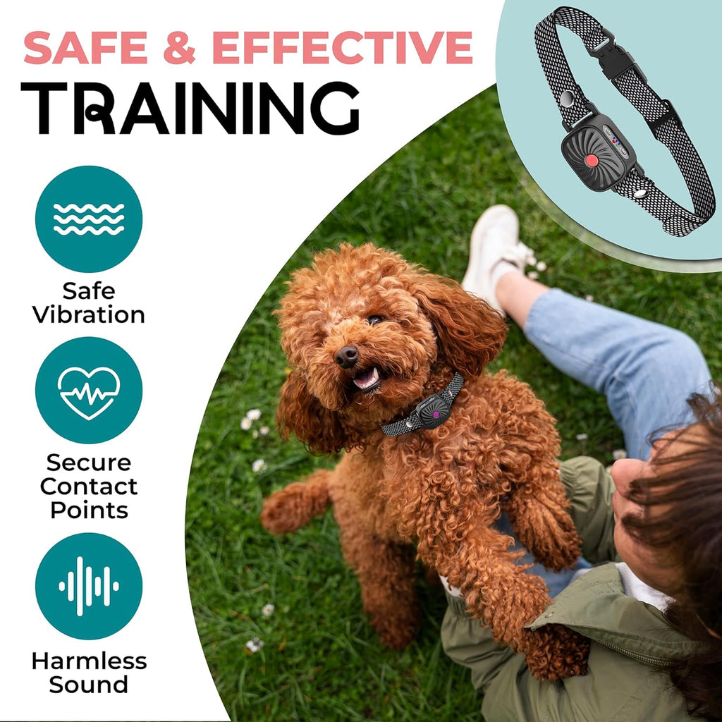 Antibell Neck Band For Small Dogs With Tones And Vibrations | Fioriscas