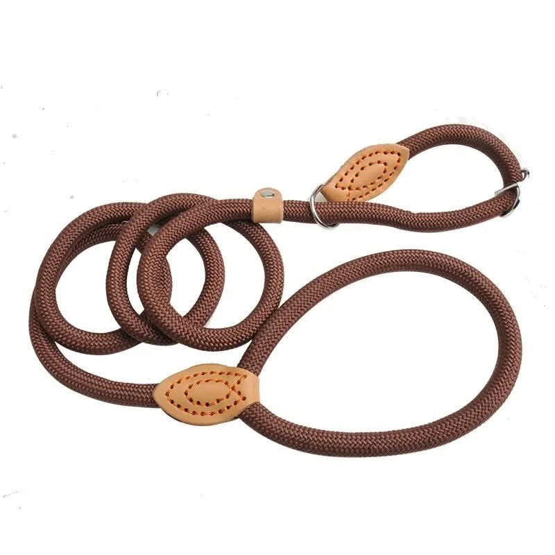 Robust dog leash made from climbing rope for maximum safety - Fioriscas