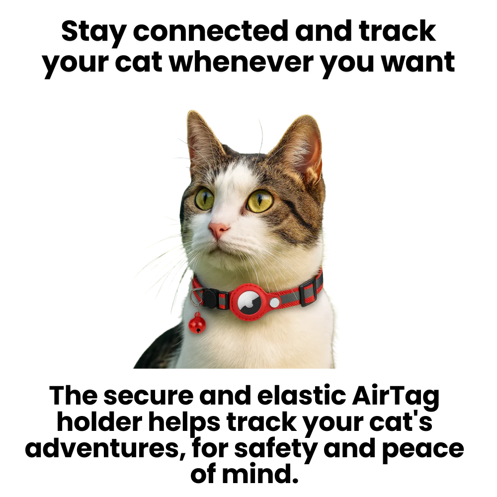 Collier pour chat avec support de traceur GPS, réfléchissant et à ouverture rapide