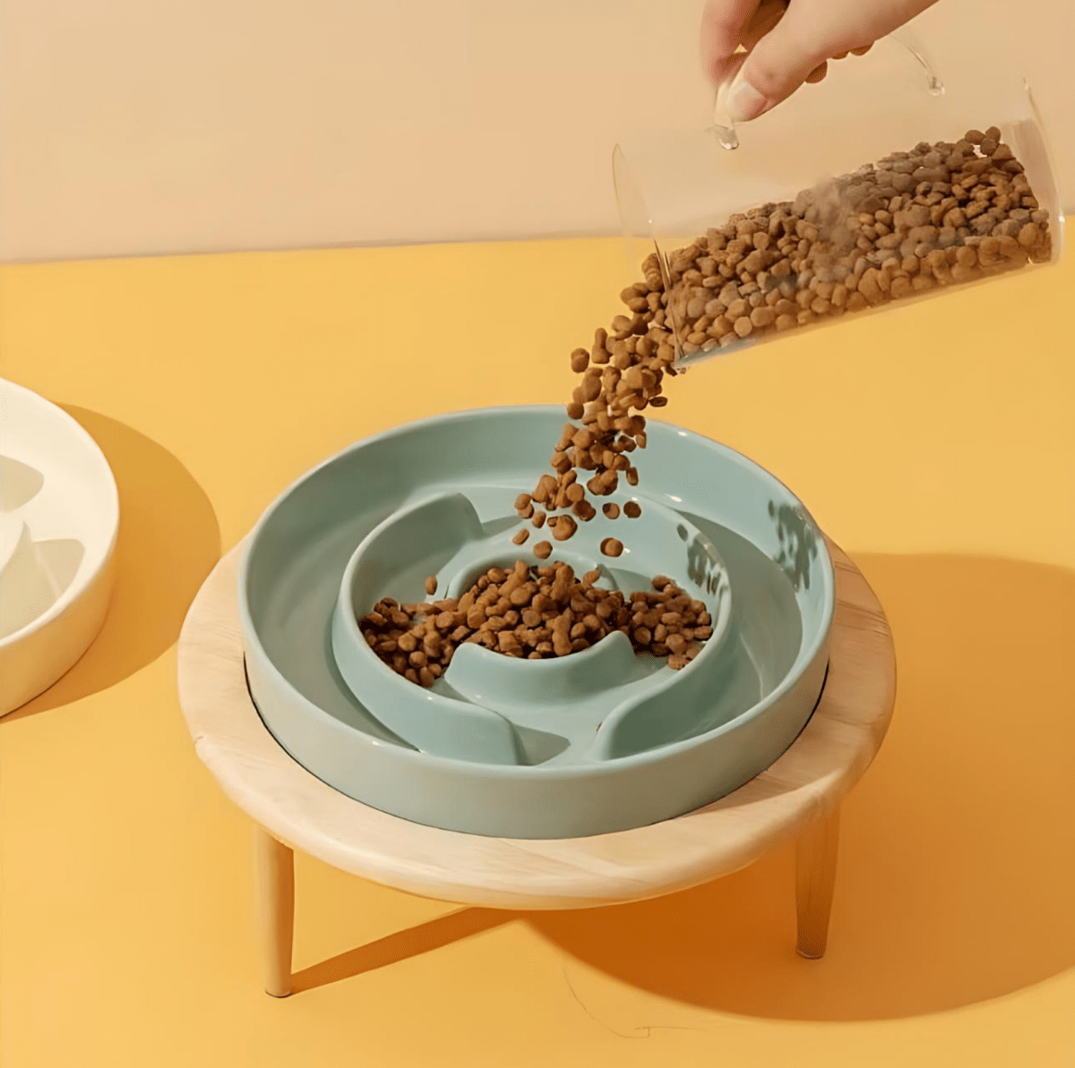 Comedouro lento premium para cães e gatos - Fioriscas