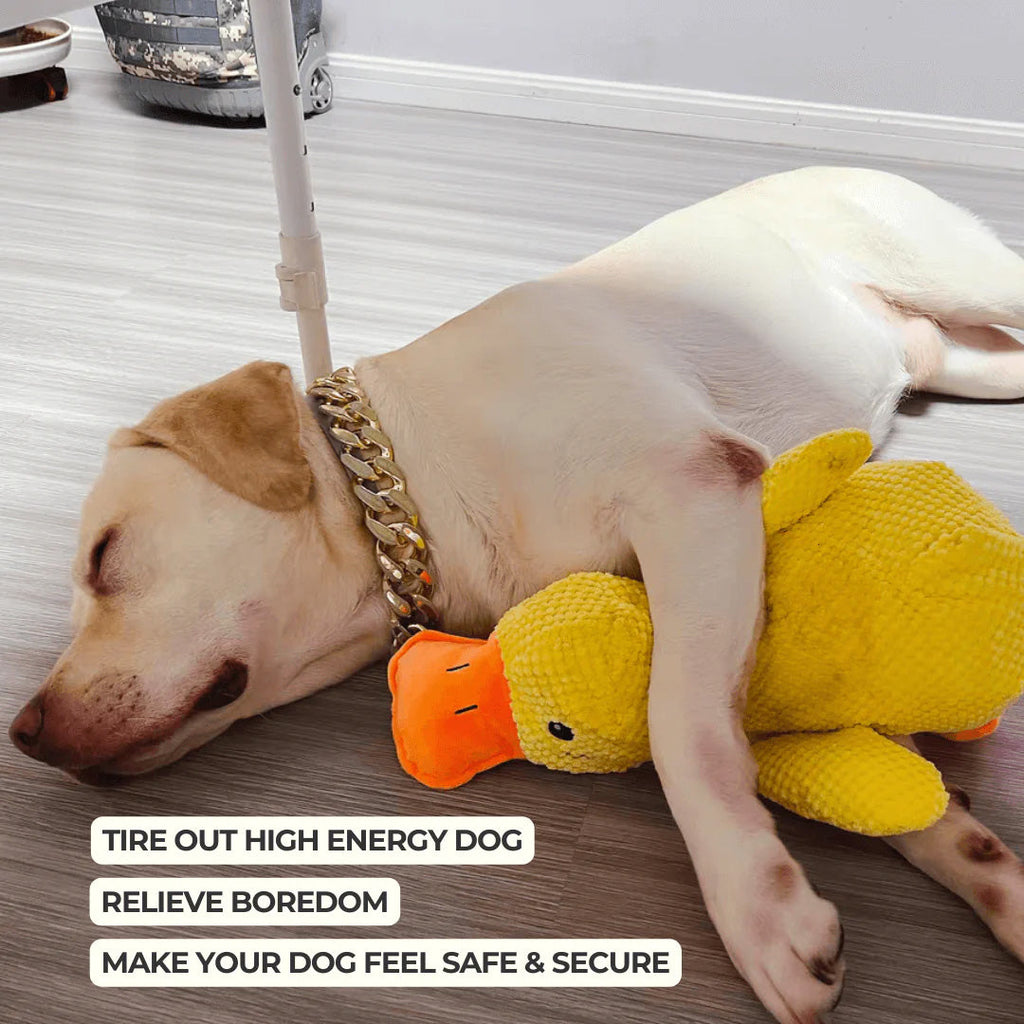 Juguete relajante de pato de peluche para perros, ideal para entretenimiento enriquecedor | Fioriscas