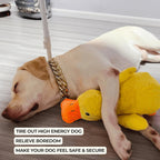 Juguete relajante de pato de peluche para perros, ideal para entretenimiento enriquecedor | Fioriscas