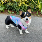 Breathable Canine Cooling Vest With UV Protection For All Breeds S-XXL