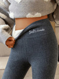 AstraWeave Cold-Weather Leggings, Cashmere-Fleece Lined Stretch Fit