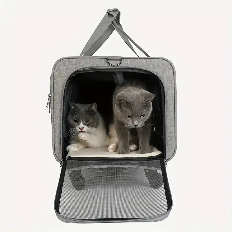 Sistema de viagem para animais de estimação extragrandes, portátil, com trolley destacável e transportadora | Fioriscas