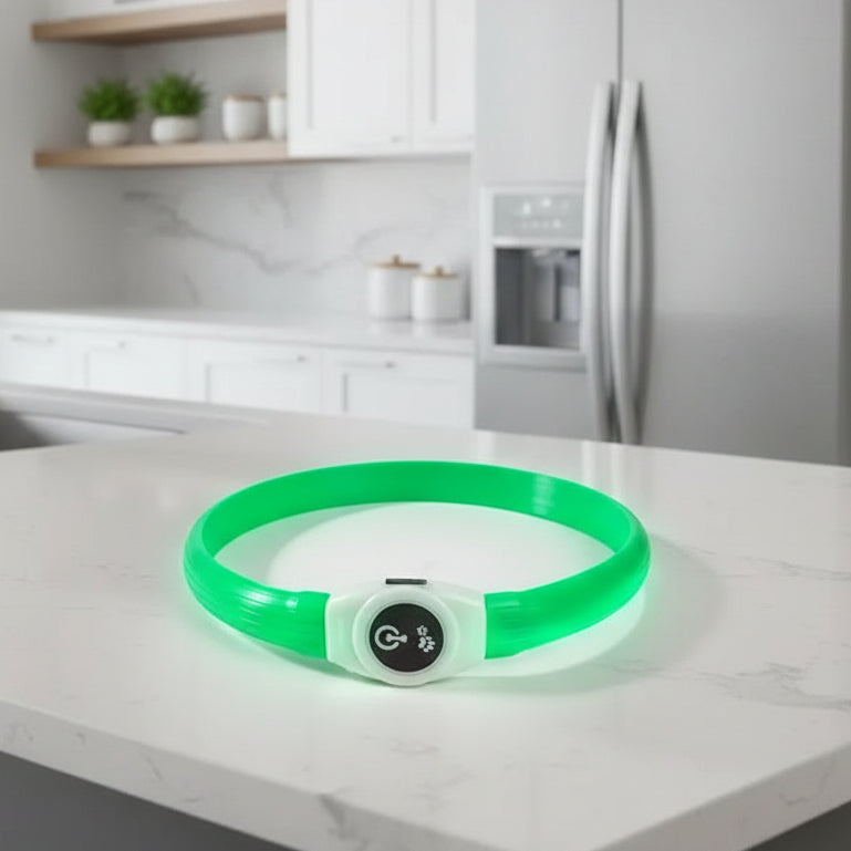Collare luminoso LED per cani per passeggiate sicure di notte - Fioriscas