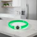 Collare luminoso LED per cani per passeggiate sicure di notte - Fioriscas