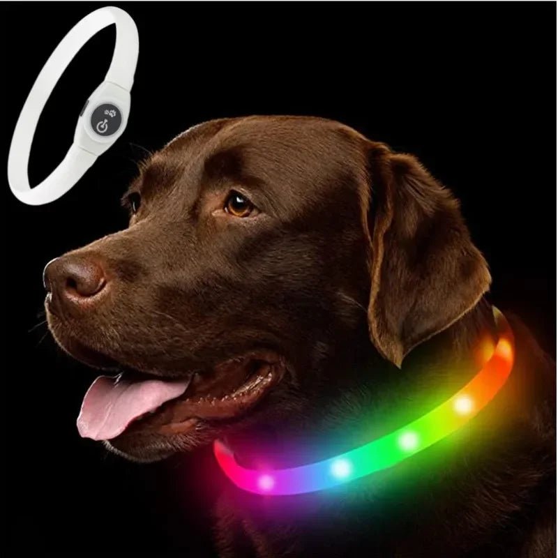 Collare luminoso LED per cani per passeggiate sicure di notte - Fioriscas