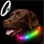 Collare luminoso LED per cani per passeggiate sicure di notte - Fioriscas