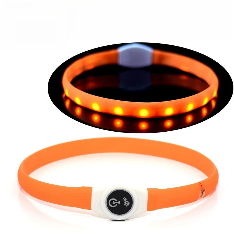 Collare luminoso LED per cani per passeggiate sicure di notte - Fioriscas