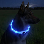Collare luminoso LED per cani per passeggiate sicure di notte - Fioriscas