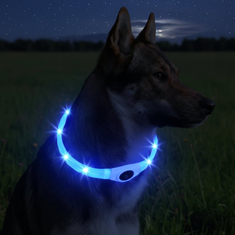 Collare luminoso LED per cani per passeggiate sicure di notte - Fioriscas
