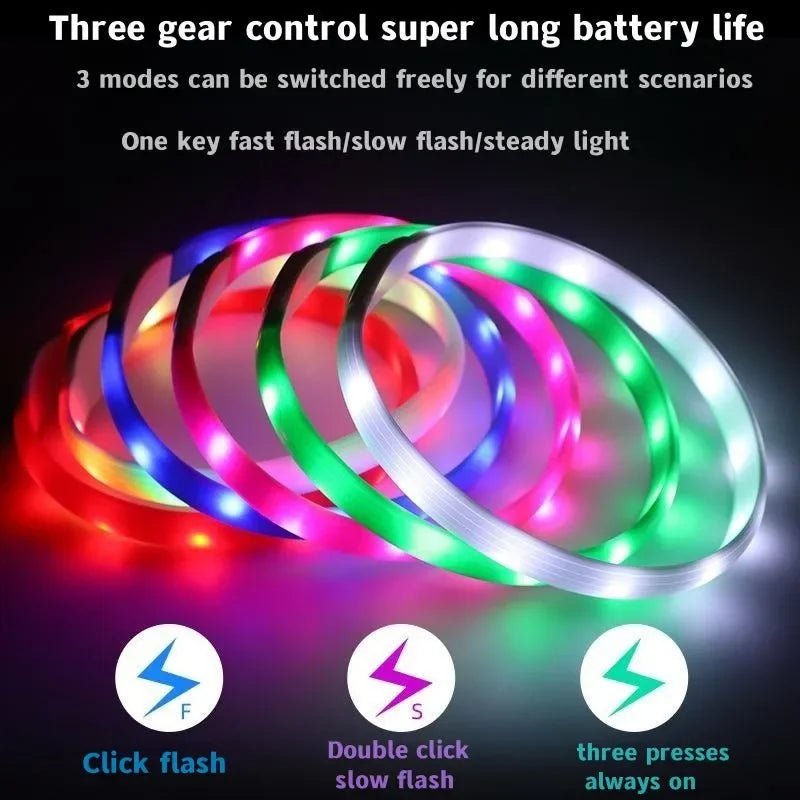 Collare luminoso LED per cani per passeggiate sicure di notte - Fioriscas