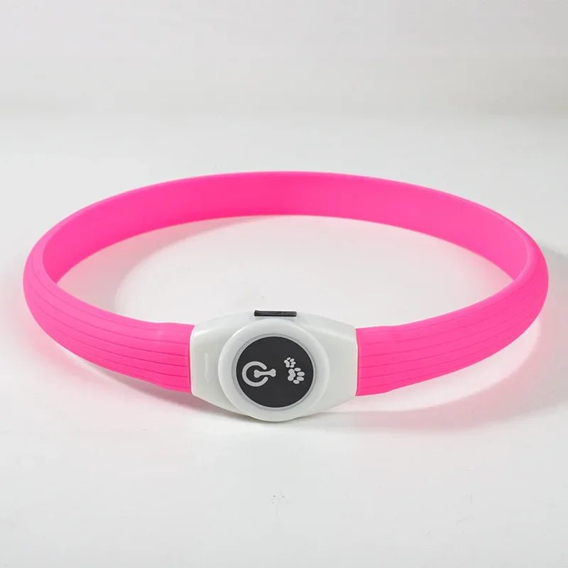 Collare luminoso LED per cani per passeggiate sicure di notte - Fioriscas