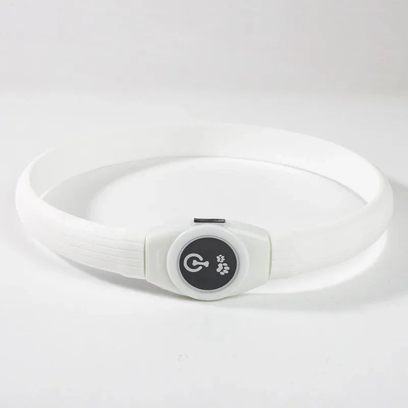 Collare luminoso LED per cani per passeggiate sicure di notte - Fioriscas
