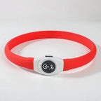Collare luminoso LED per cani per passeggiate sicure di notte - Fioriscas