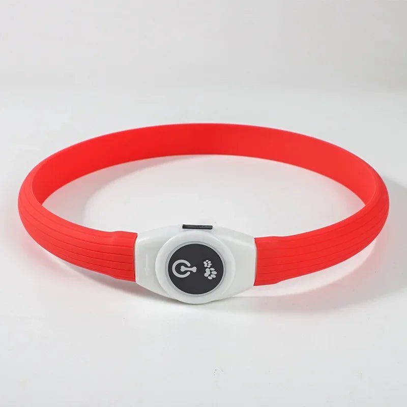 Collare luminoso LED per cani per passeggiate sicure di notte - Fioriscas