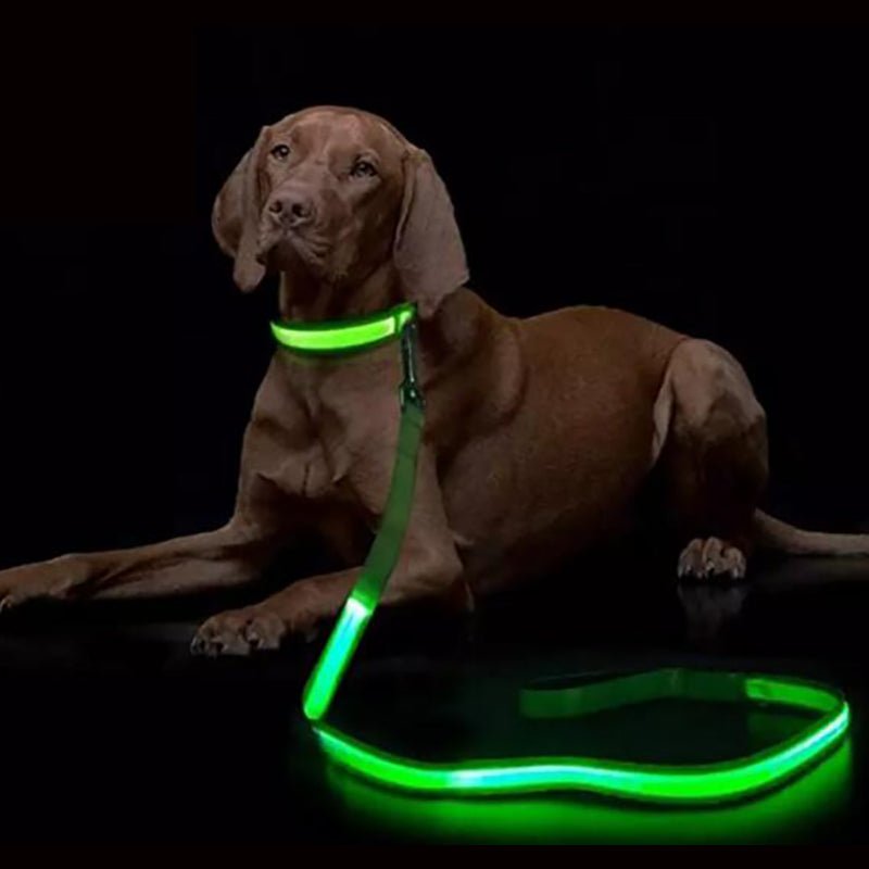 LED-hundesnor med USB-opladning og reflekterende design - Fioriscas