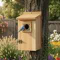 Cedar Wood Nesting House for Blue Jays, Swallows, and Small Birds - Fioriscas
