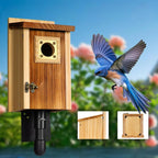 Cedar Wood Nesting House for Blue Jays, Swallows, and Small Birds - Fioriscas