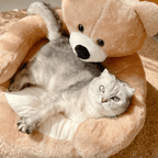 Lit douillet pour chat, sécurisant et confortable - Fioriscas