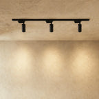 Slim Black Track Lighting With Adjustable Cylinder Heads For Accent And Task Lighting