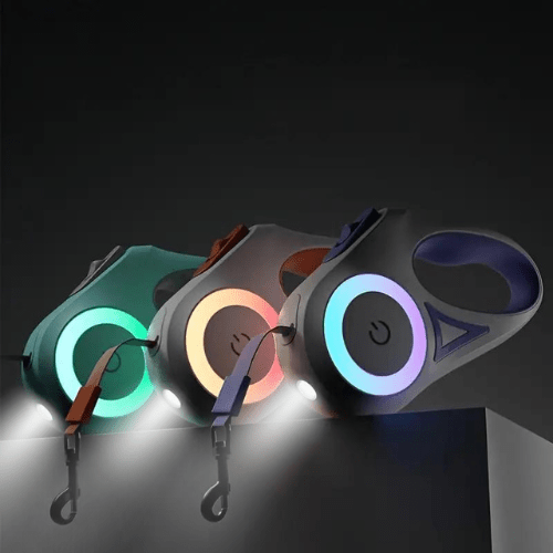 安全な散歩のためのLEDライト付き光る犬用リード - Fioriscas