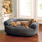 Ortopedisk hundbädd med tryckavlastande stoppning för äldre hundar - Fioriscas