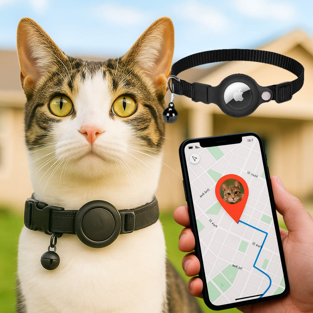 Collier pour chat avec support de traceur GPS, réfléchissant et à ouverture rapide