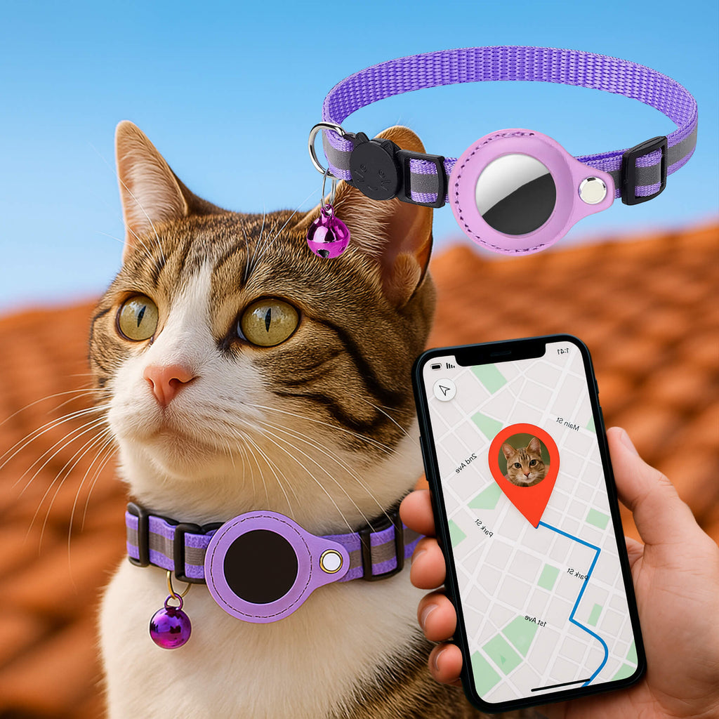 Collier pour chat avec support de traceur GPS, réfléchissant et à ouverture rapide