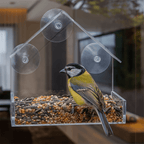 Vogelvoederhuisje met doorzichtig raam en zuignappen - Fioriscas