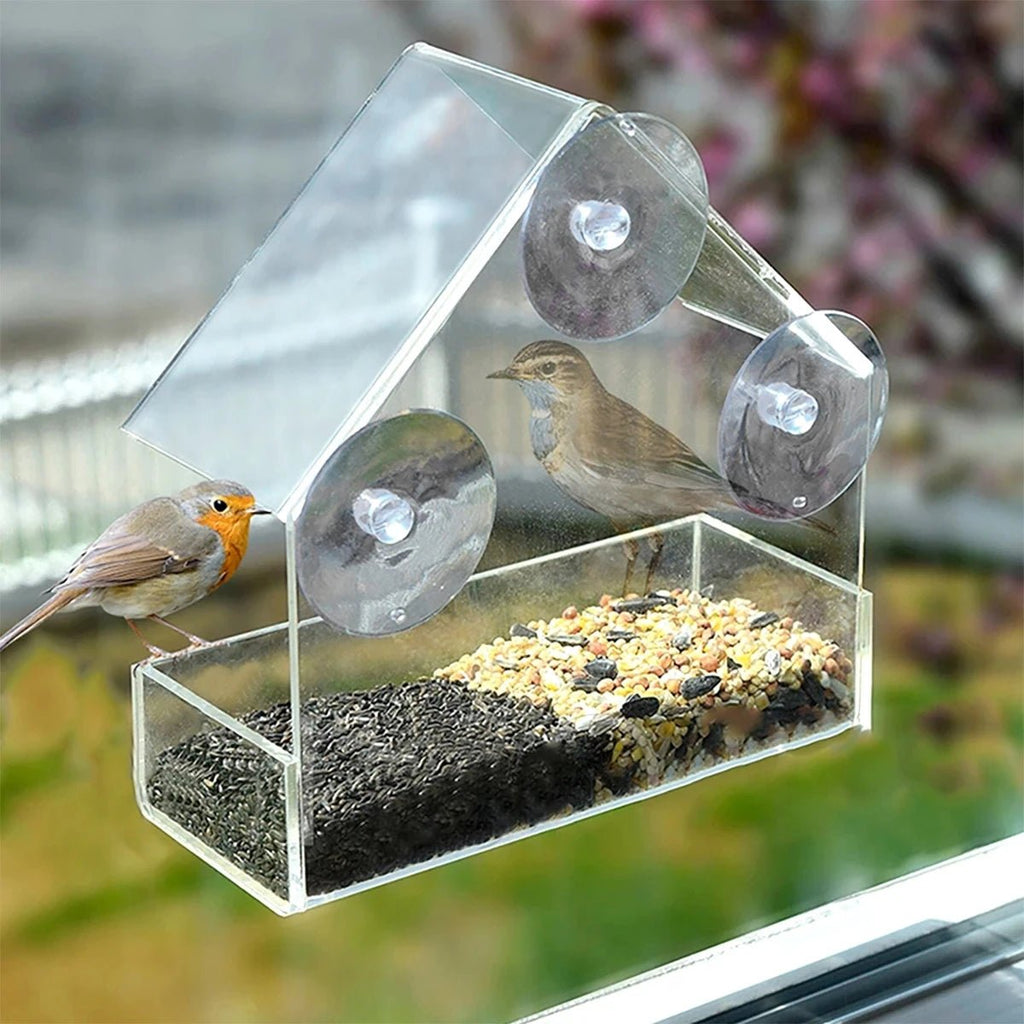 Vogelvoederhuisje met doorzichtig raam en zuignappen - Fioriscas