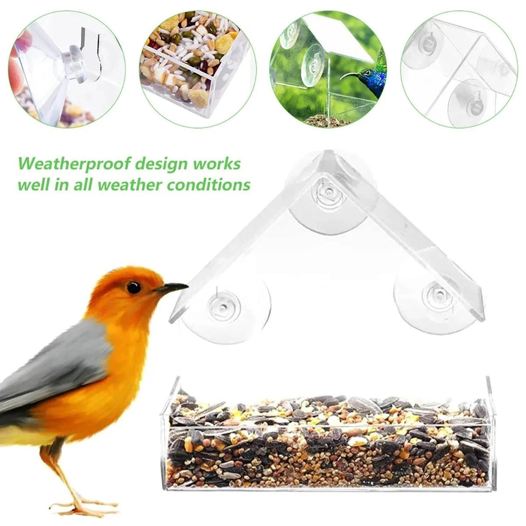 Vogelvoederhuisje met doorzichtig raam en zuignappen - Fioriscas