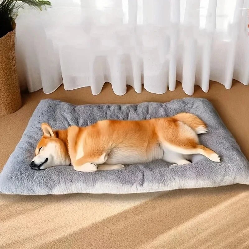 Lit moelleux pour chien, propice à une détente apaisante - Fioriscas