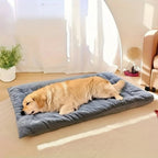 Lit moelleux pour chien, propice à une détente apaisante - Fioriscas