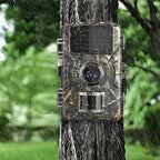 Rugged Trail Camera For Wildlife Night Vision Capable | Fioriscas