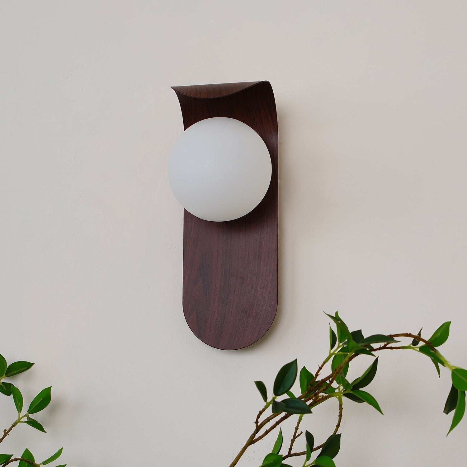 Exuro Indoor Wall Lamp Wood Color / Walnut Color | Fioriscas