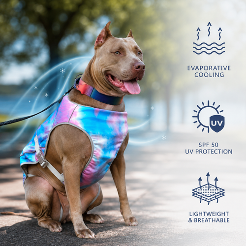 Gilet Rinfrescante Traspirante per Cani con Protezione UV per Tutte le Razze S-XXL