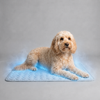 ChillDog Pressure Activated Self Cooling Pet Mat For Indoor Or Outdoor Use