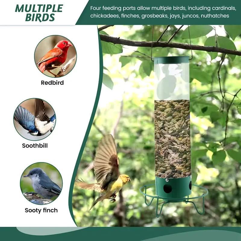 Comedouro para pássaros à prova de esquilos com poleiro rotativo - Fioriscas