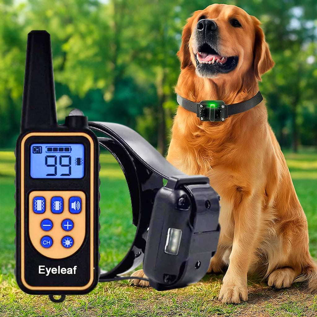 Collier de dressage rechargeable pour chiens, portée de la télécommande de 800 m et conception étanche