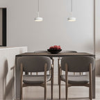 NovaBeam Aluminum Pendant Light With Cylindrical Canopy