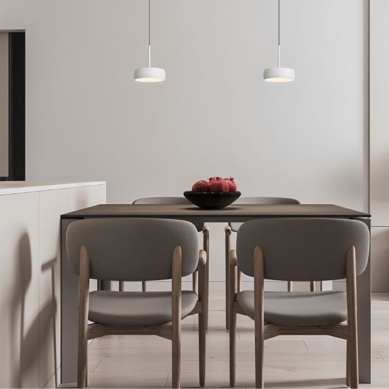 NovaBeam Aluminum Pendant Light With Cylindrical Canopy