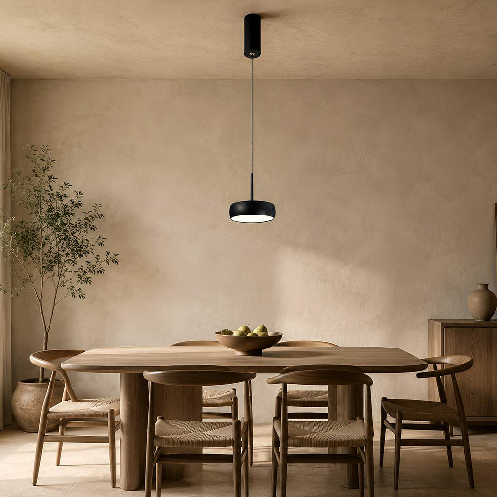 NovaBeam Aluminum Pendant Light With Cylindrical Canopy