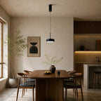 NovaBeam Aluminum Pendant Light With Cylindrical Canopy