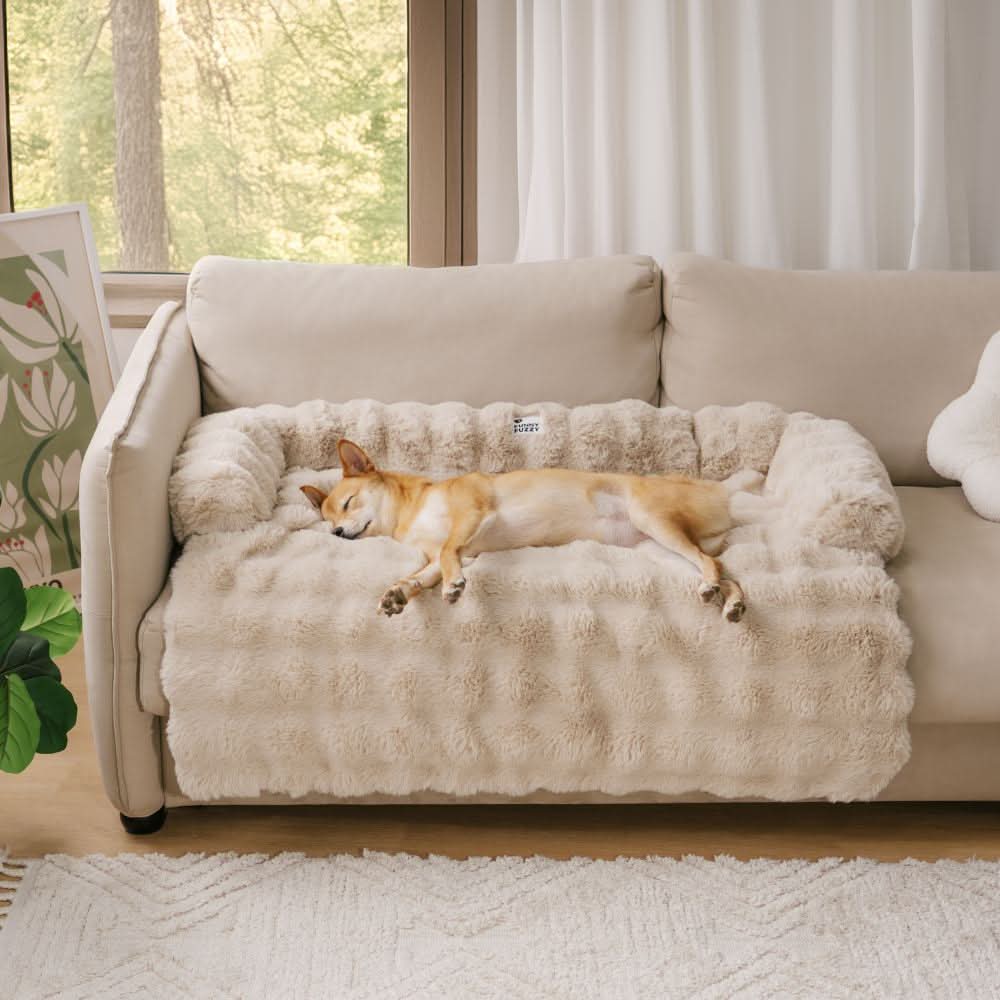 Cozy Dog Sofa Bed with Furniture Protection - Fioriscas
