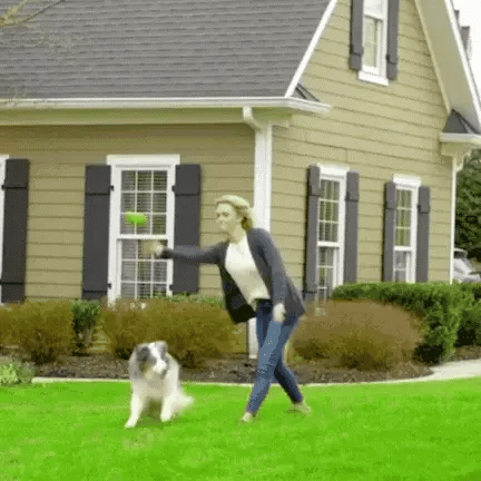 ZenGuard Pro trådløst hundehegn med vandtæt træningshalsbånd