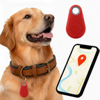 Vandtæt Kirra GPS-tracker til hunde med Apple Find My, uden abonnement
